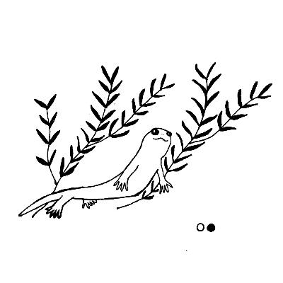 〔12-4〕観察して撮影して、食べていく。北海道の自然と写真家のこれから〔KANNNOME〕 〔12-4〕観察して撮影して、食べていく。北海道の自然と写真家のこれから〔KANNNOME〕