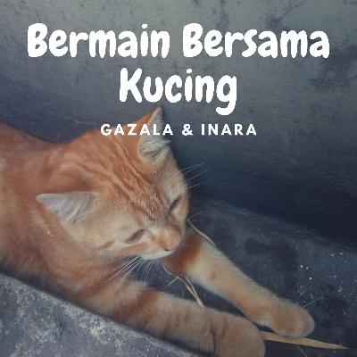 Episode #6 Bermain Bersama Kucing Episode #6 Bermain Bersama Kucing