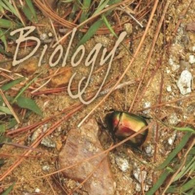 CH-20 LOCOMOTION AND MOVEMENT