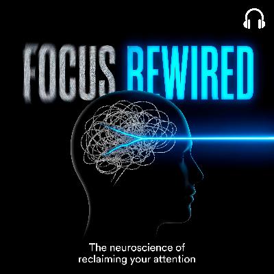 FOCUS REWIRED: How to train your brain to stop wandering