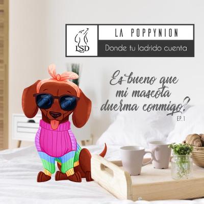 Es bueno que mi mascota duerma conmigo? Es bueno que mi mascota duerma conmigo?