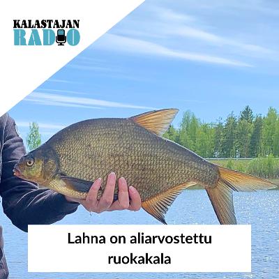 Lahna on aliarvostettu ruokakala