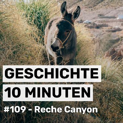 #109 - Reche Canyon und seine Esel
