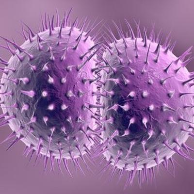 INFECTOLOGIA; NEISSERIA GONORRHOEAE