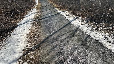 Wednesday Walkabout #2.