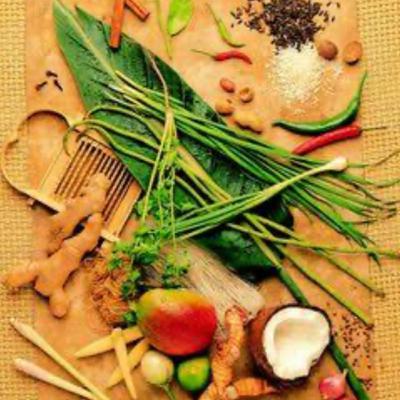 Vegetarian lifestyle