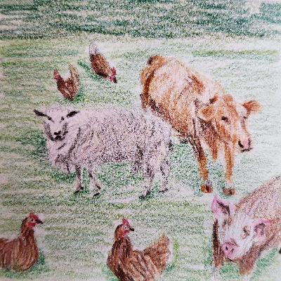 Not a Bone Broken Not a Bone Broken