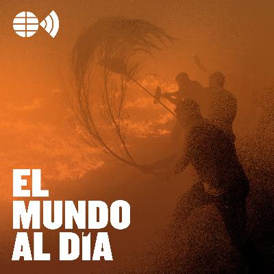 Un verano en llamas: ¿qué hay detrás de los incendios?