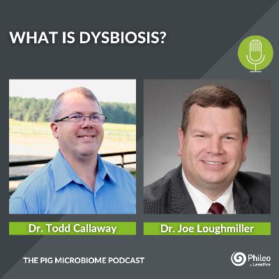 #SHORTS: What is dysbiosis?