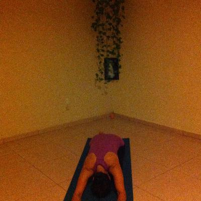 Vinyasa Express Vinyasa Express