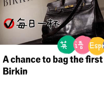 【294】世界第一个Birkin