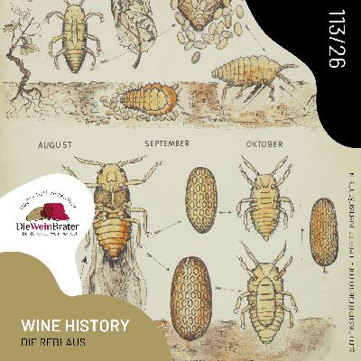 Wein History: Wie die Reblaus die Weinberge in Europa zerstörte Wein History: Wie die Reblaus die Weinberge in Europa zerstörte