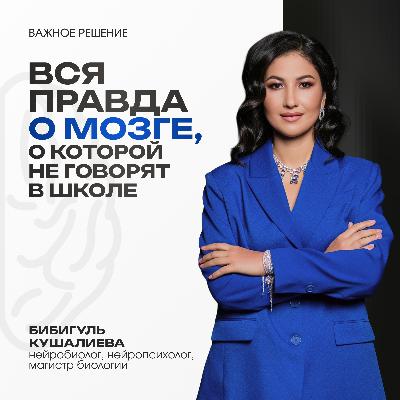 Вся правда о мозге, о которой не говорят в школе Вся правда о мозге, о которой не говорят в школе