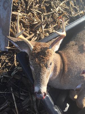 Ep. 25 My First Archery Buck