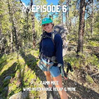damn mice | Wind River Range Recap & More