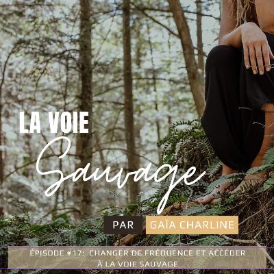 #17: changer de fréquence et accéder à la voie sauvage #17: changer de fréquence et accéder à la voie sauvage