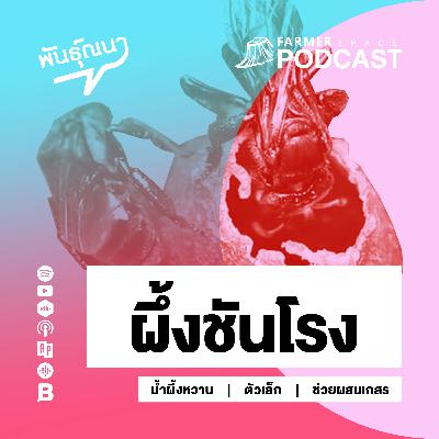 ผึ้งชันโรง 【พันธุ์ณนา】 ผึ้งชันโรง 【พันธุ์ณนา】