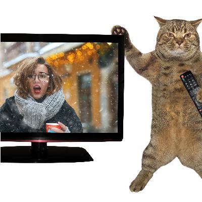 Comedy Cat podcast. Life with Bucky. World-renown Cat TV weather reporter Kitty Ozone and Meteorologist Ann O’Momenter. Keanu Reeves telegram. Comedy Cat podcast. Life with Bucky. World-renown Cat TV weather reporter Kitty Ozone and Meteorologist Ann O’Momenter. Keanu Reeves telegram.