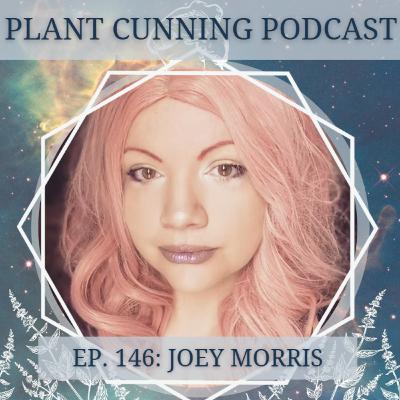 Ep. 186: Celtic Hedge Witchery with Joey Morris