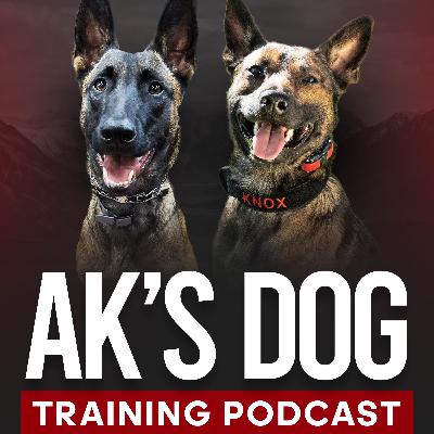 Unleashing My Journey: From Dog Lover to K9 Expert