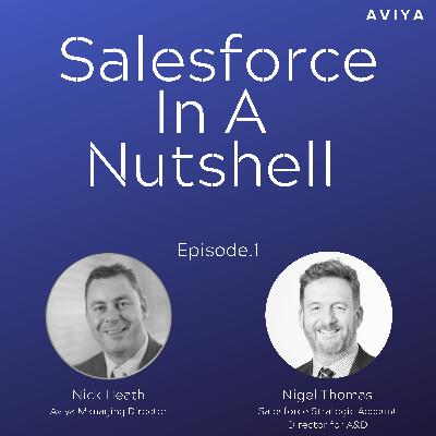 Ep.1 "Salesforce In A Nutshell" Ep.1 "Salesforce In A Nutshell"