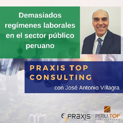 53: Demasiados regímenes laborales en el sector público peruano