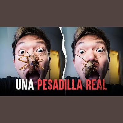 Insectos gigantes que NO creerías que existen en Asia