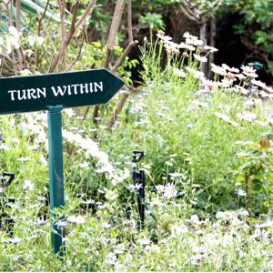Wisdom from Wise Woman’s Cottage