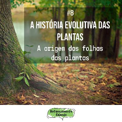 A história evolutiva das plantas #8: A origem das folhas das plantas - Botanicamente falando