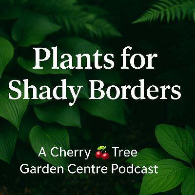 Plants for U.K Shady Borders: Top Varieties & Expert Tips for Thriving Shade Gardens Plants for U.K Shady Borders: Top Varieties & Expert Tips for Thriving Shade Gardens