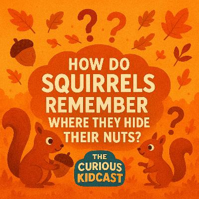 How do squirrels remember where they hide their nuts? | Animal Adventures for Kids