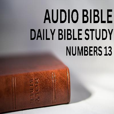 Book of Numbers: Chapter 13: Israelite Spies Sent To Canaan And Fear The Giants.