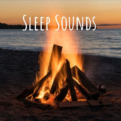 Sleep Sounds: Cicadas, Locus, and Birds