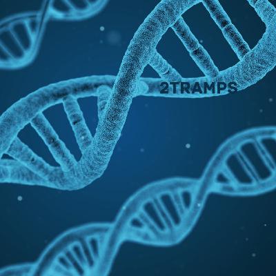 2 Tramps Дилетанты 11 Бессмертие