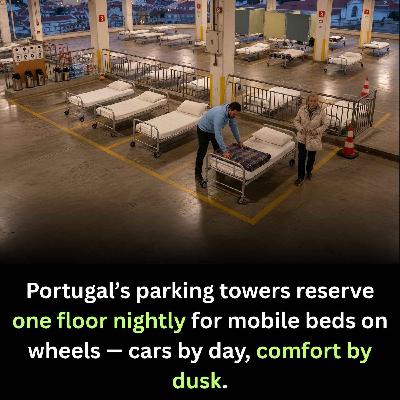 Good News or Fake News About Life in Portugal?! Carl & Filomena Discuss #fakenews #goodnews #Fact27 Good News or Fake News About Life in Portugal?! Carl & Filomena Discuss #fakenews #goodnews #Fact27