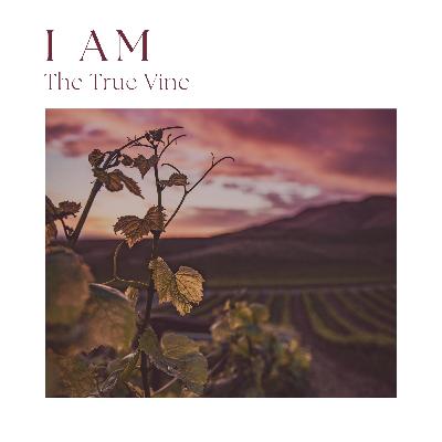 I AM the True Vine | John 15:1-2, 4-5