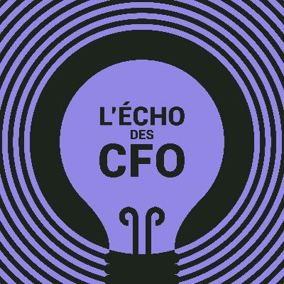 «Le CFO intérimaire, couteau suisse de la transition»