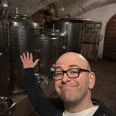 Kaltern at the heart of a living vineyard