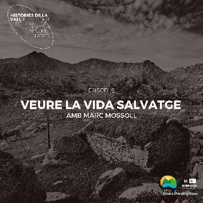 Veure la vida salvatge