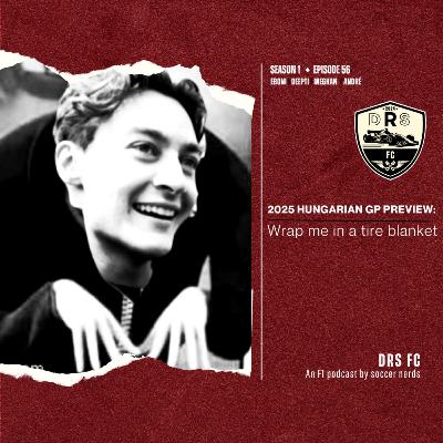 2025 HUNGARIAN GP PREVIEW: Wrap me in a tire blanket