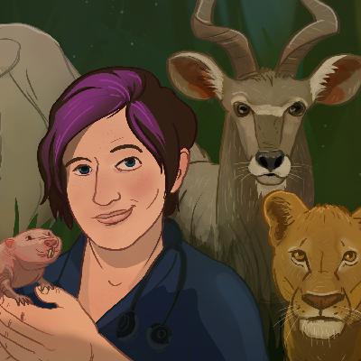 Zoo's Clues