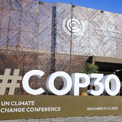 Klimaforscher Edenhofer: So können wir die Temperaturkurve zurückbiegen Klimaforscher Edenhofer: So können wir die Temperaturkurve zurückbiegen