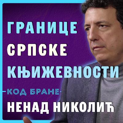 Код Бране: Ненад Николић, Српски идентитет без граница не постоји