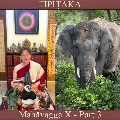 Buddhist Books: TIPIṬAKA 195 • Mahāvagga X - Part 3 Buddhist Books: TIPIṬAKA 195 • Mahāvagga X - Part 3