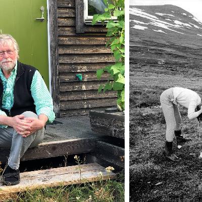 Sveriges friluftshistoria – från överklass till folkligt fritidsintresse
