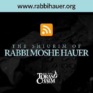 Bereishis - The Waters of Noach No 43 - The Kosher Animals Bereishis - The Waters of Noach No 43 - The Kosher Animals