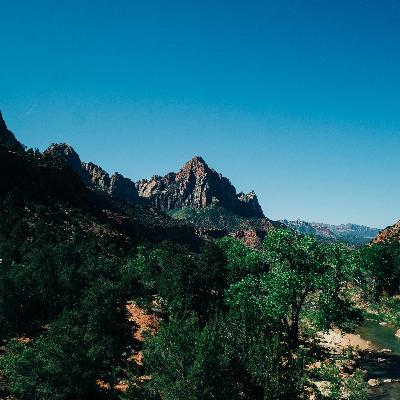 #151 Warum Firmenkunden wichtig sind und wie ihr sie überzeugt