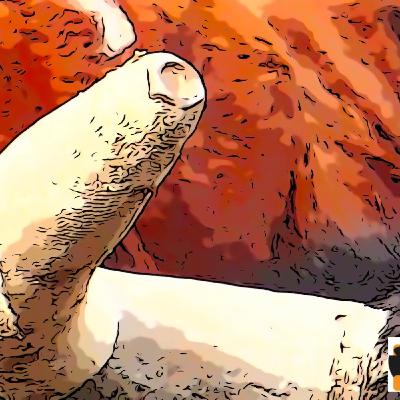 22102025 | Lo de las fundas, Florito y la plaza de toros de New York 22102025 | Lo de las fundas, Florito y la plaza de toros de New York