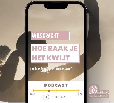 Het geheim van wilskracht - hoe raak je het kwijt en hoe krijg je er meer van? Het geheim van wilskracht - hoe raak je het kwijt en hoe krijg je er meer van?