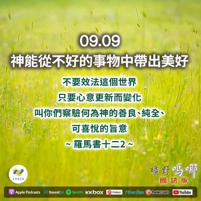 曠野嗎哪-神能從不好的事物中帶出美好